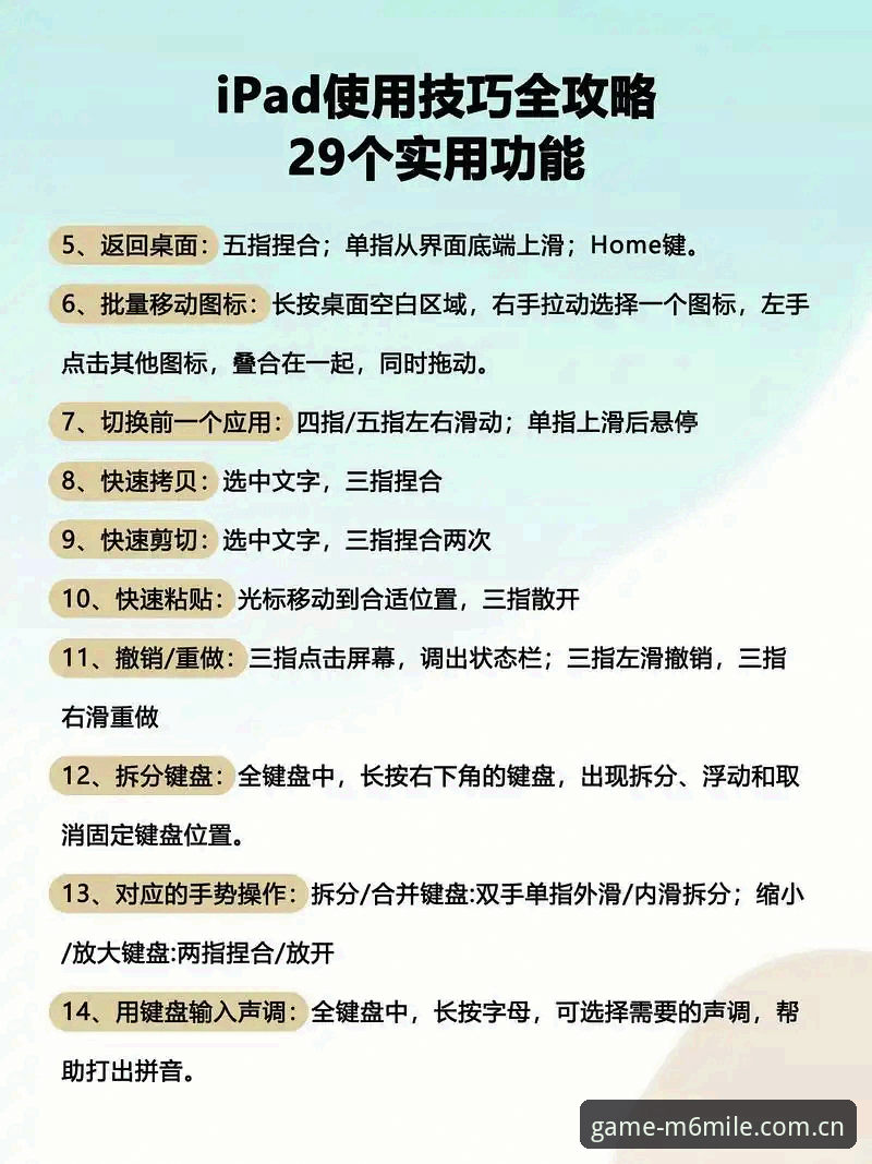 新老用户对比：M6米乐使用教程从入门到精通的完整指南